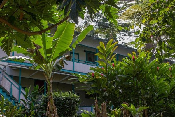 Wild Ginger Inn Hotel (Hilo)